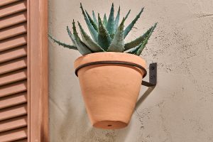 Single Wall Hung Planter